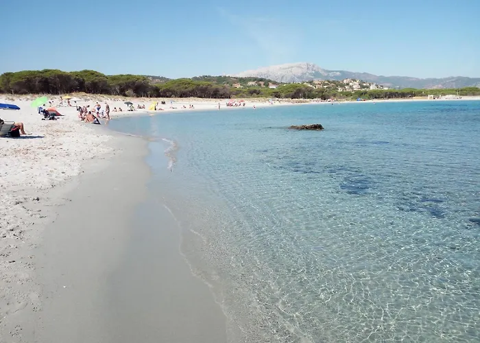 Case Vacanze Rosa